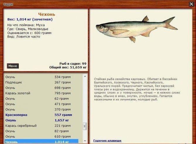 Рыба речная: список с названиями и описанием