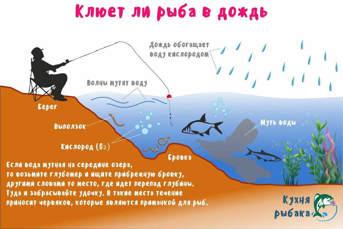 Погода для рыбалки. как влияет и в какую лучше идти на рыбалку | животный мир