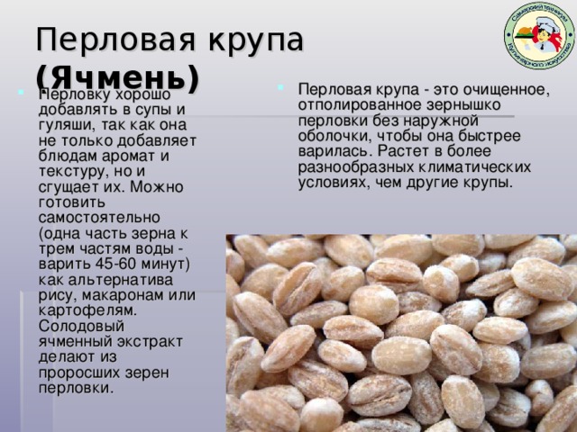 Как варить перловку. как правильно варить перловку.