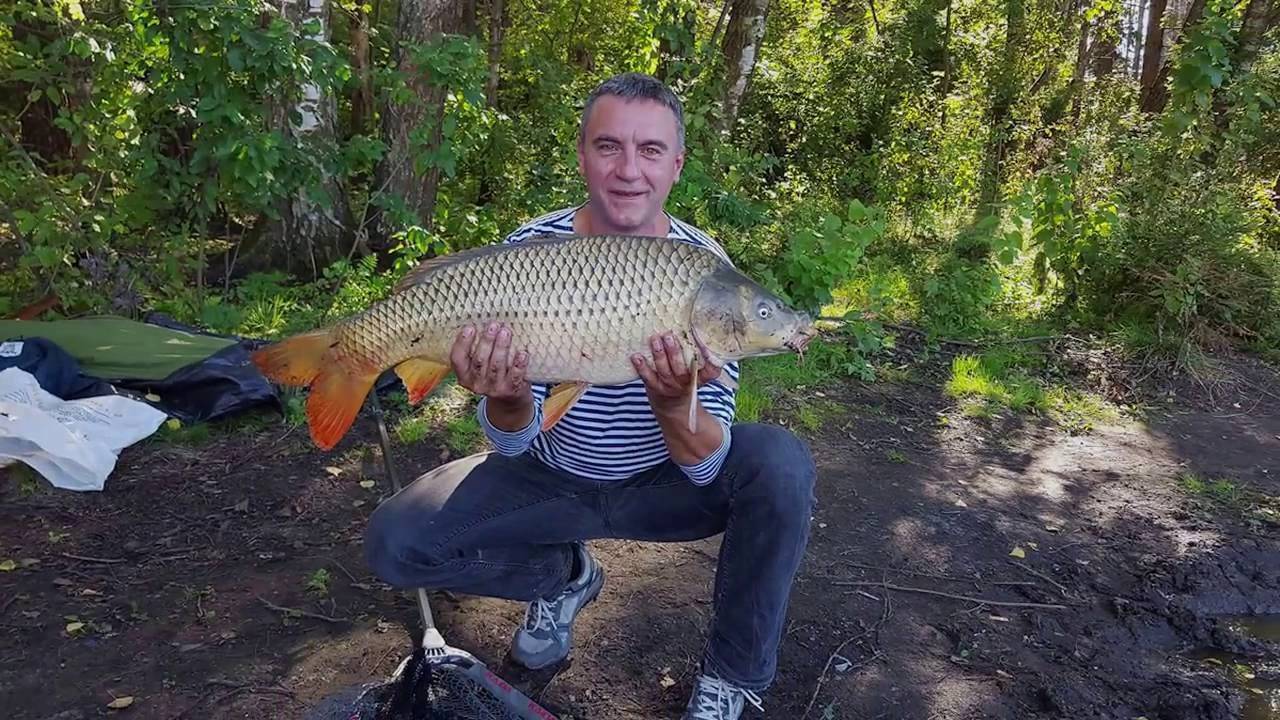 Лучшие места для рыбалки в раменском районе: куда сходить и что поймать