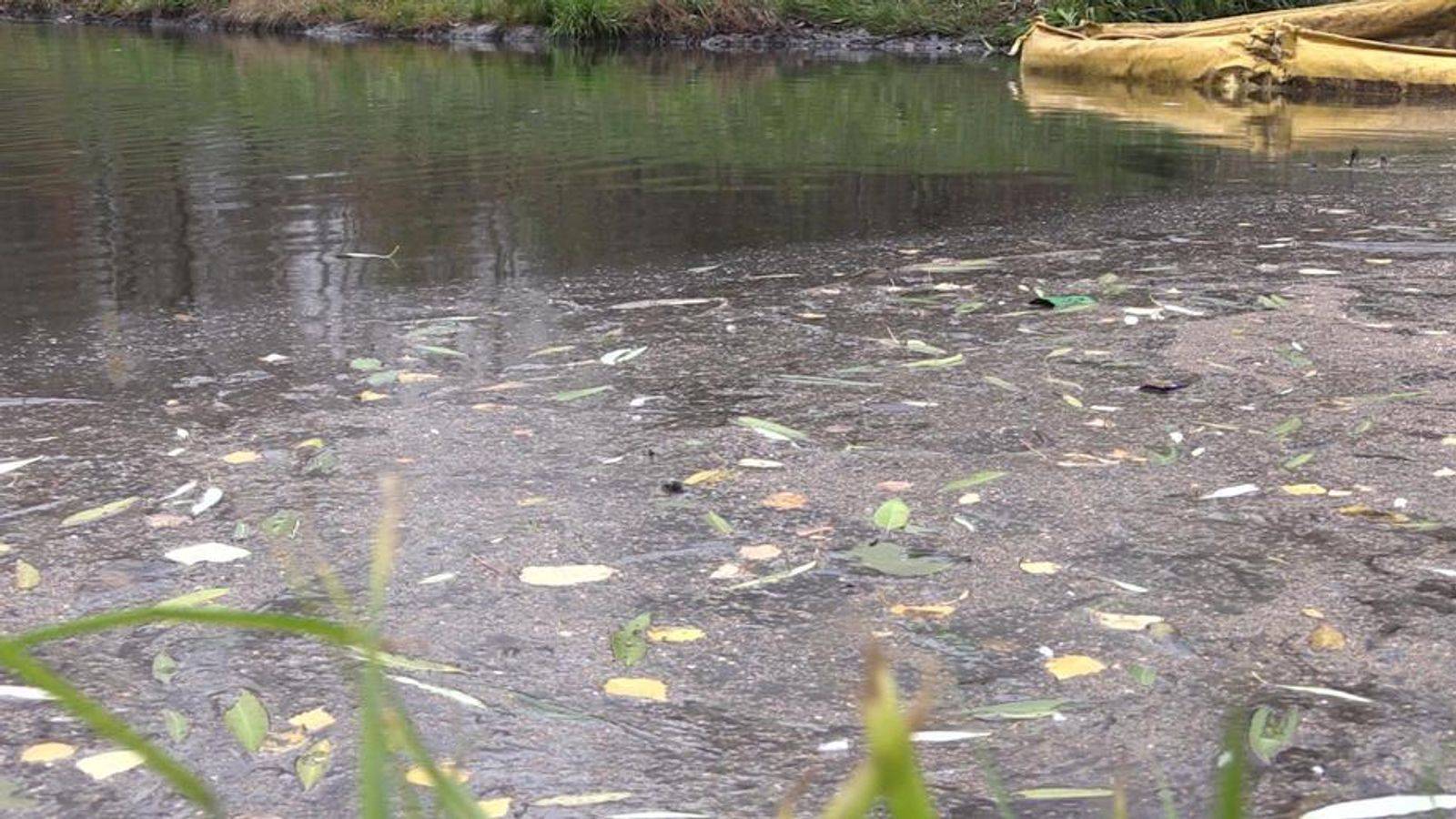 Обитатели соленых и пресных водоемов (3 класс)