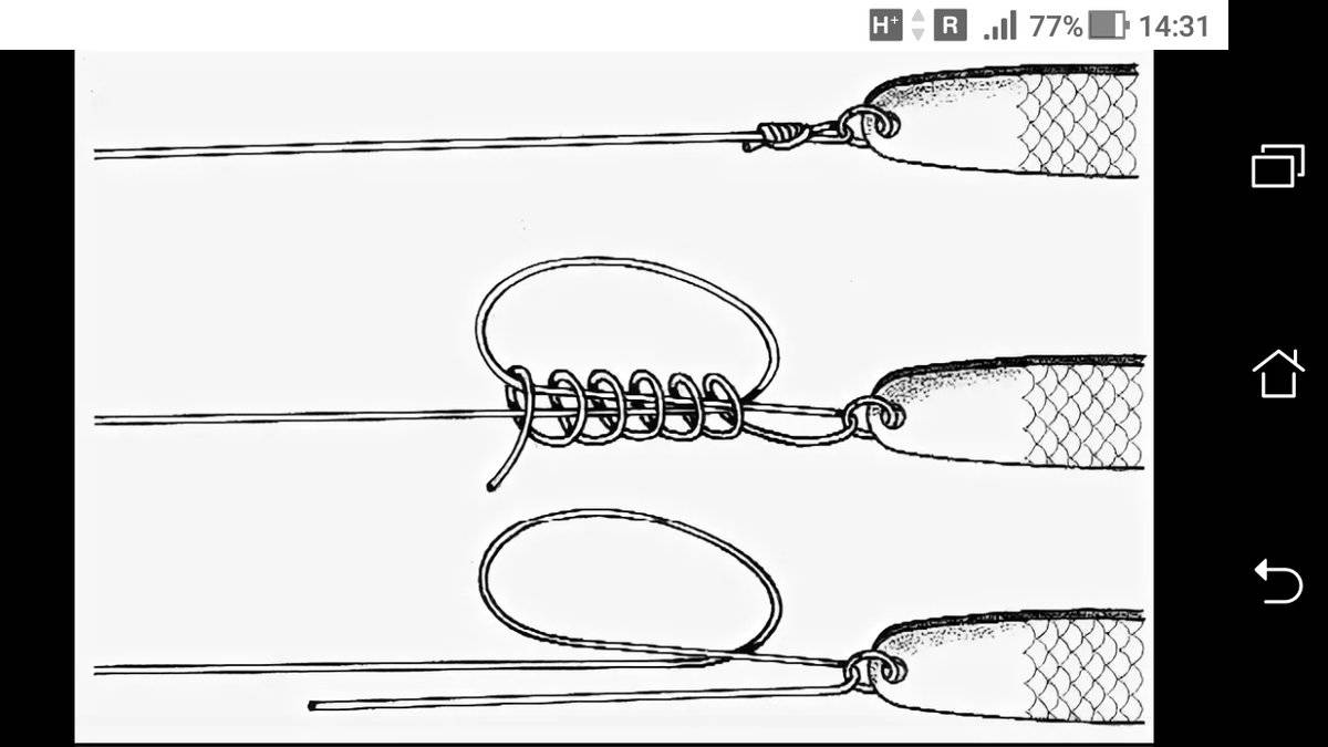 Рыбалка на спиннинг | спиннинг клаб - советы для начинающих рыбаков
как привязать блесну на спиннинг - лучшие рыболовные узлы
