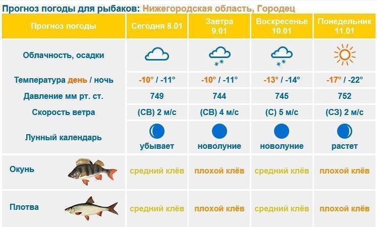 Рыбалка в магнитогорске: места для лова и прогноз клева