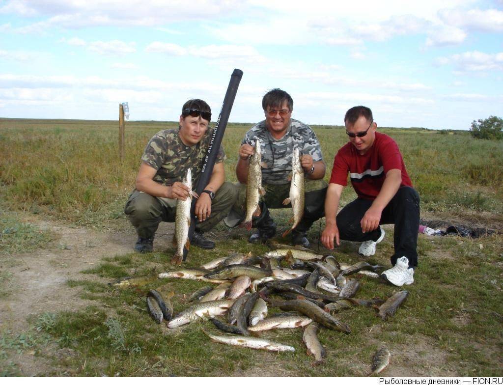 Рыбалка в крыму (морская и на озерах), где можно ловить с берега в январе