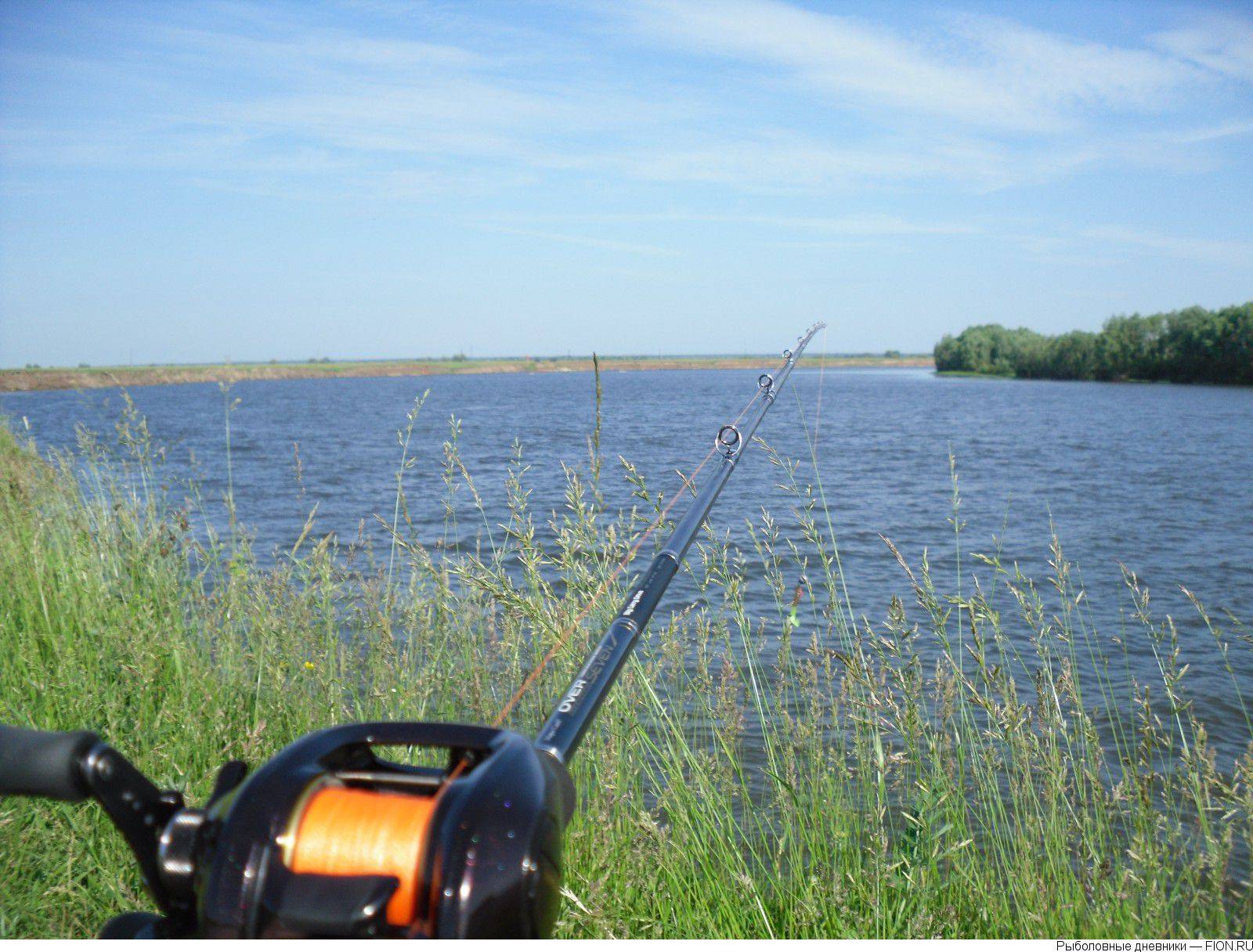 Рыбалка в рязанской области - читайте на сatcher.fish