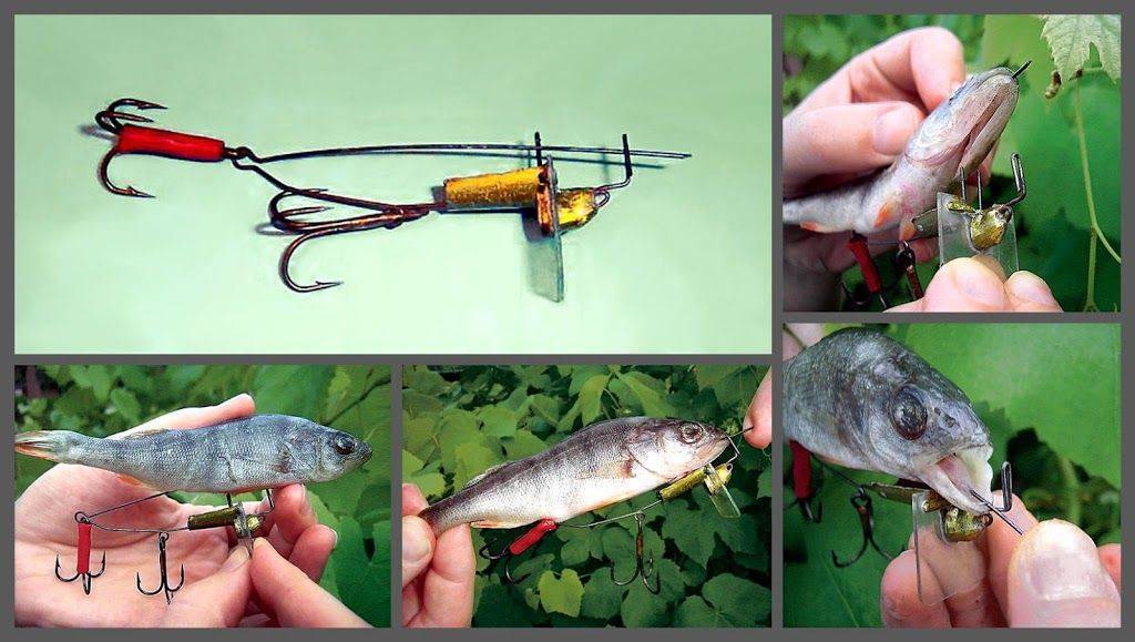 Оснастка для ловли на живца с берега – суперулов – интернет-портал о рыбалке