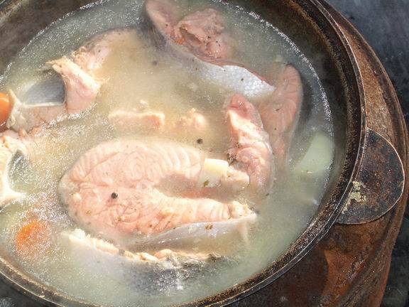 Печень налима – 7 вкусных рецептов приготовления в домашних условиях