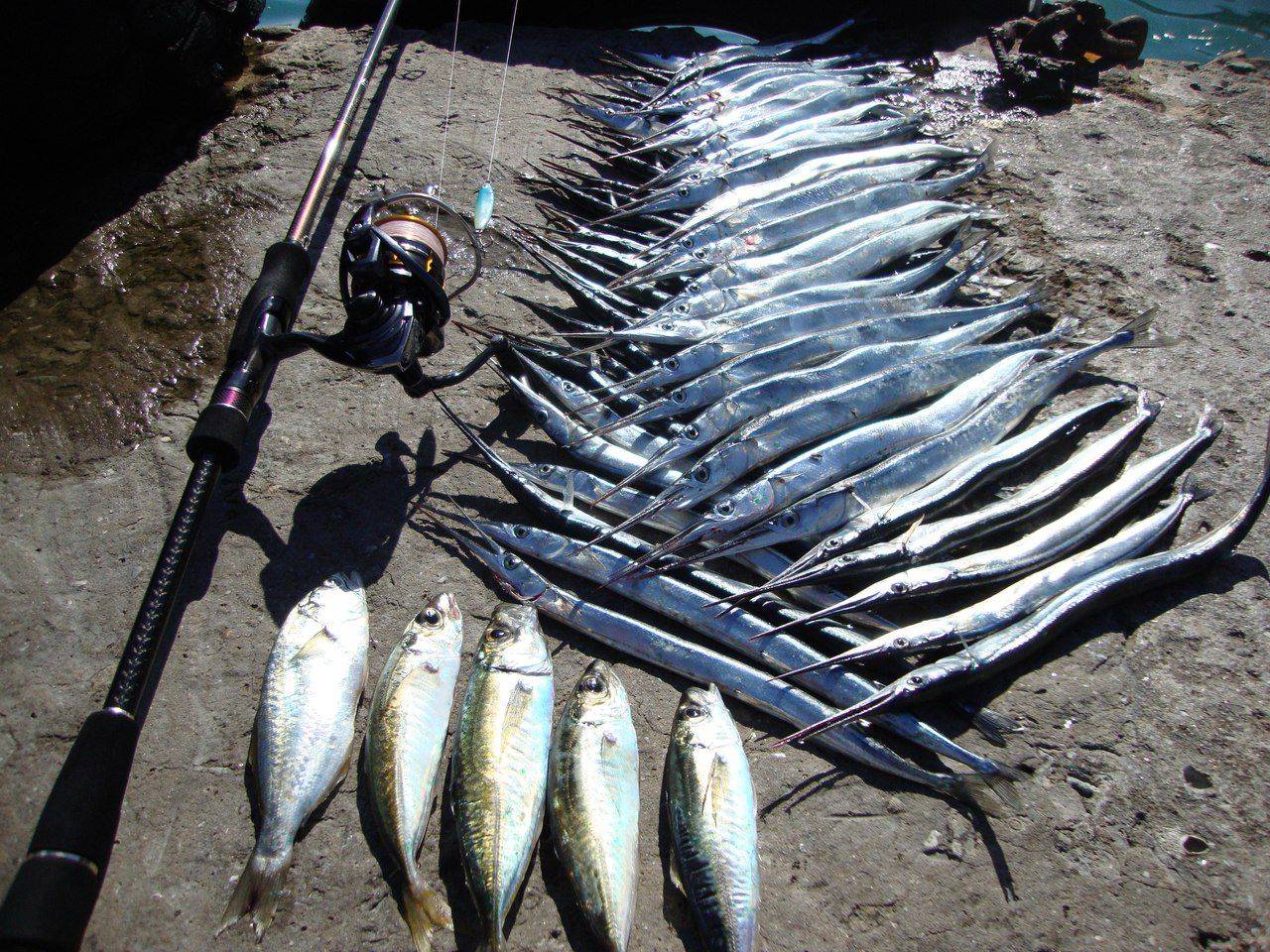 Рыбалка на черном море с берега спиннингом, на блесну. снасти. подводная рыбалка на черном море