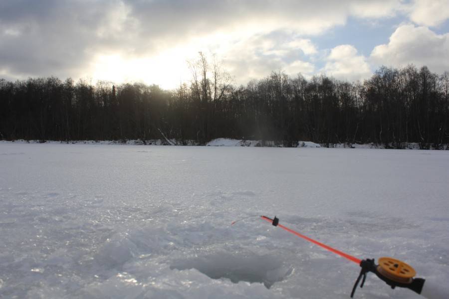 Ловля окуня по перволедью: секреты и тонкости рыбалки по первому льду