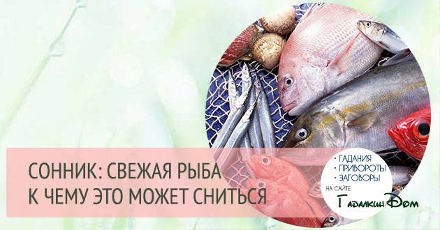 К чему снится ловить рыбу? что значит ловить рыбу во сне?