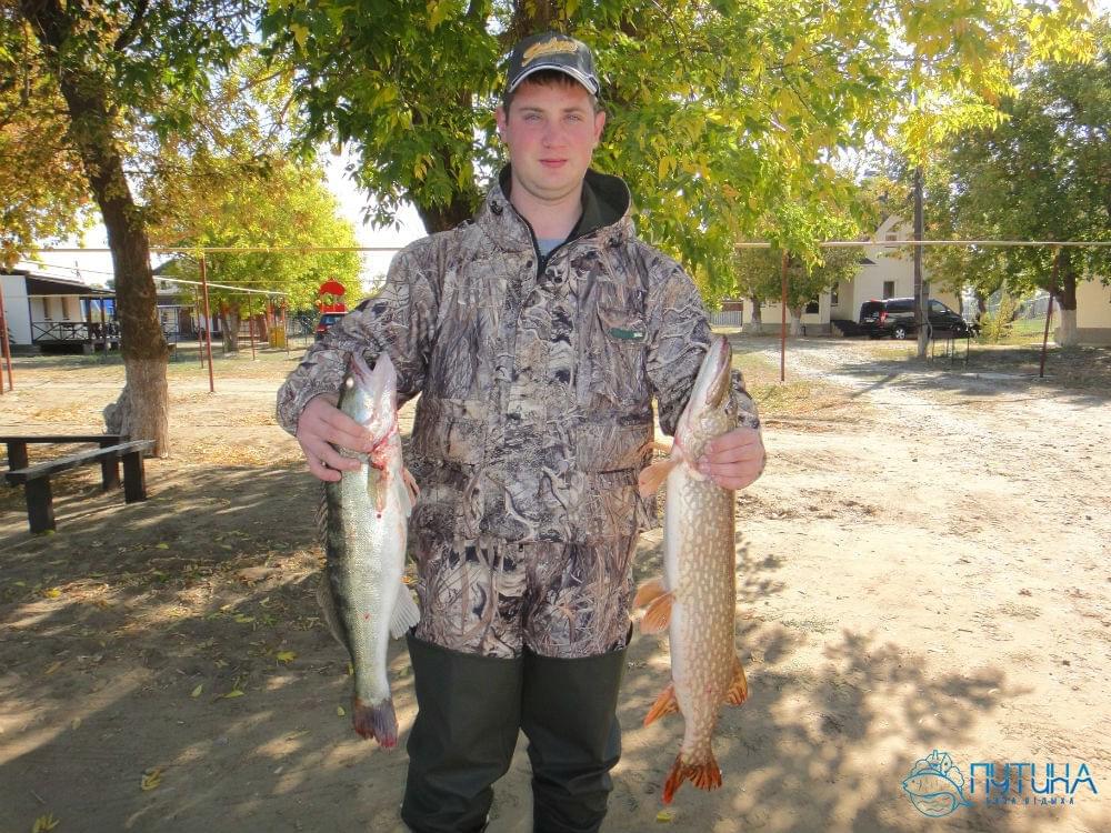 Рыбалка в октябре на ахтубе и волге - читайте на сatcher.fish