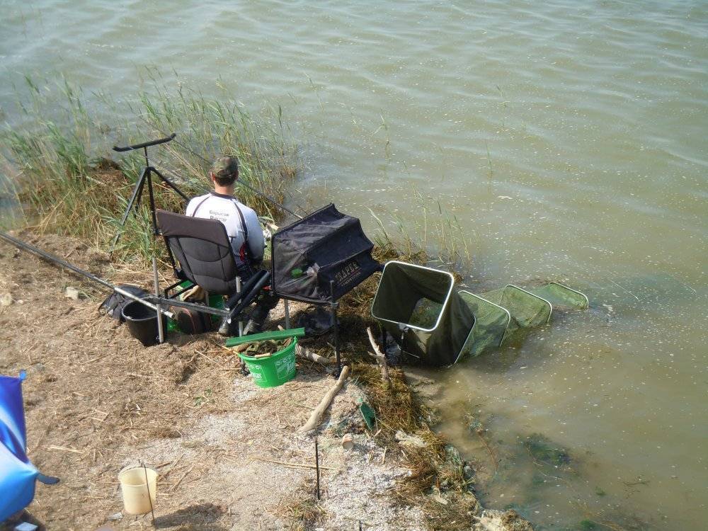 Платная рыбалка в ставропольском крае: рыболовные туры, охотничьи базы и водоемы ставрополя