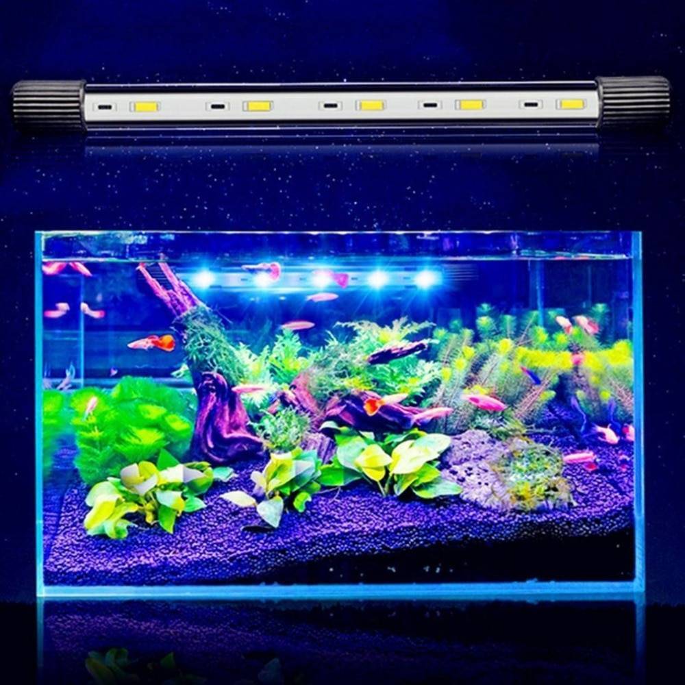 Нужен ли рыбкам свет в аквариуме ночью. Led Fish Tank светильник. Светильник для аквариума model d120w led Aquarium Light. Аквариум для рыбок (led + Top filtr). Лампа для аквариума led 200c.