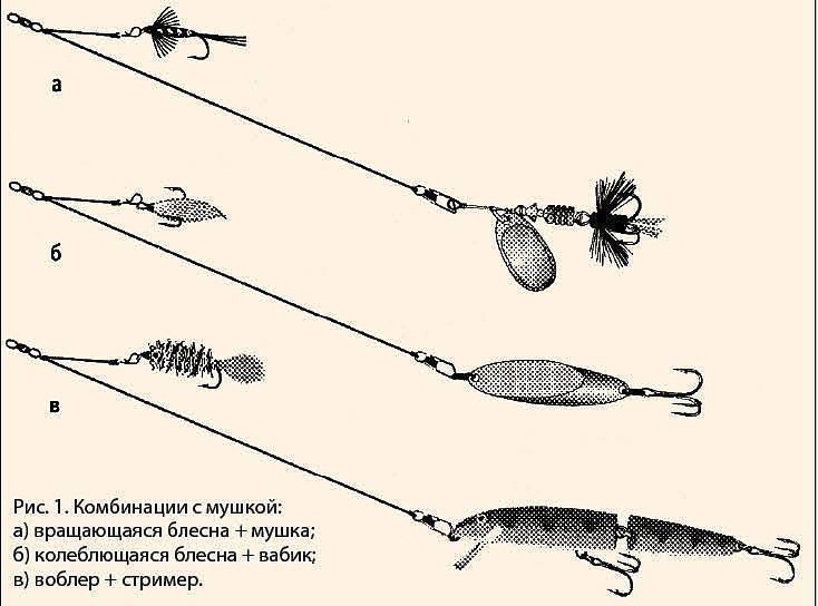 Ловля на мушку: техника ловли спиннингом, поплавком и бомбардой рыбы хариуса, и других