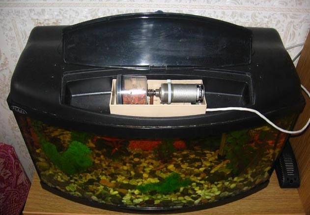 Автокормушка для рыб: как сделать своими руками автоматическую кормушку для аквариума