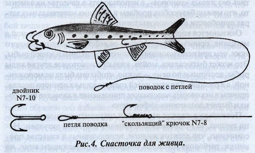 Ловля щуки в апреле – ловим с лодки