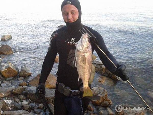 Рыбалка на черном море с берега спиннингом, на блесну. снасти. подводная рыбалка на черном море :: syl.ru