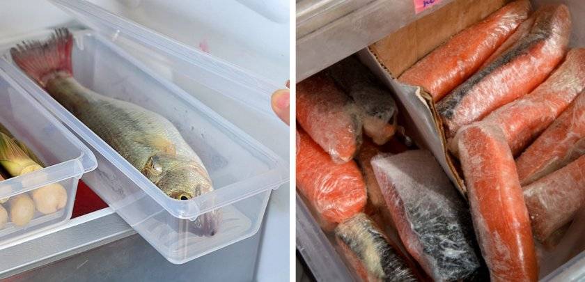 Как солить рыбу: засолка в домашних условиях, способы засолить для вяления