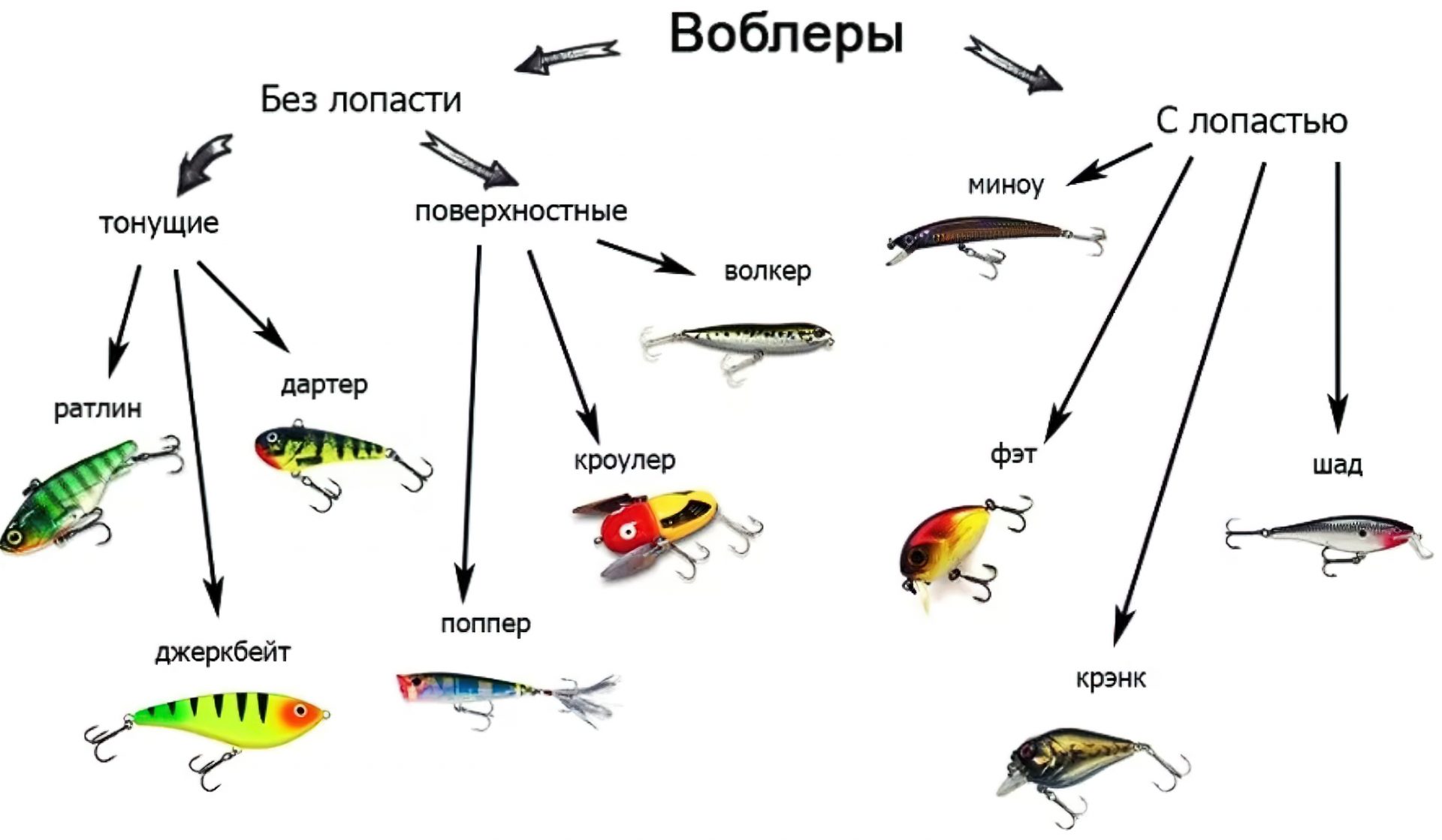 Какие снасти на каких рыб. Таблица проводок для воблеров. Наживка для спиннинга виды и названия. Виды поверхностных приманок для спиннинга. Классификация блесен и воблеров.