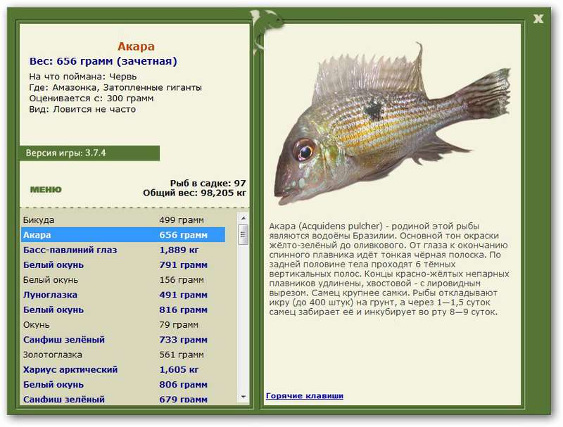 Барбусы аквариумные рыбки: совместимость с другими рыбами, виды и фото с названиями, уход и содержание, сколько живут