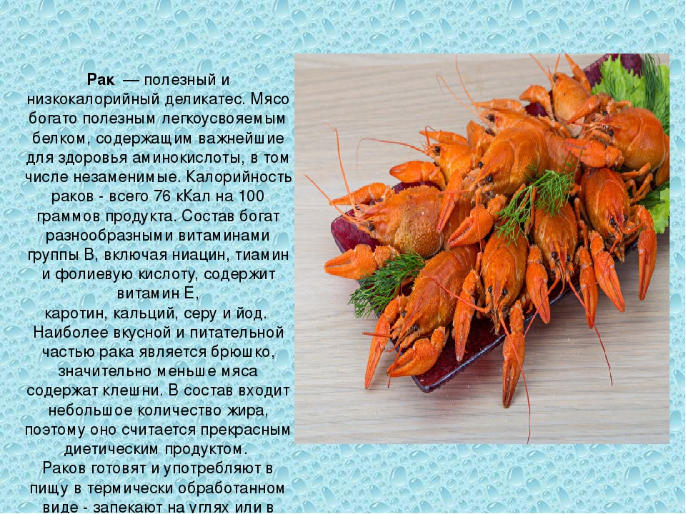 Можно ли есть раков на следующий день после варки