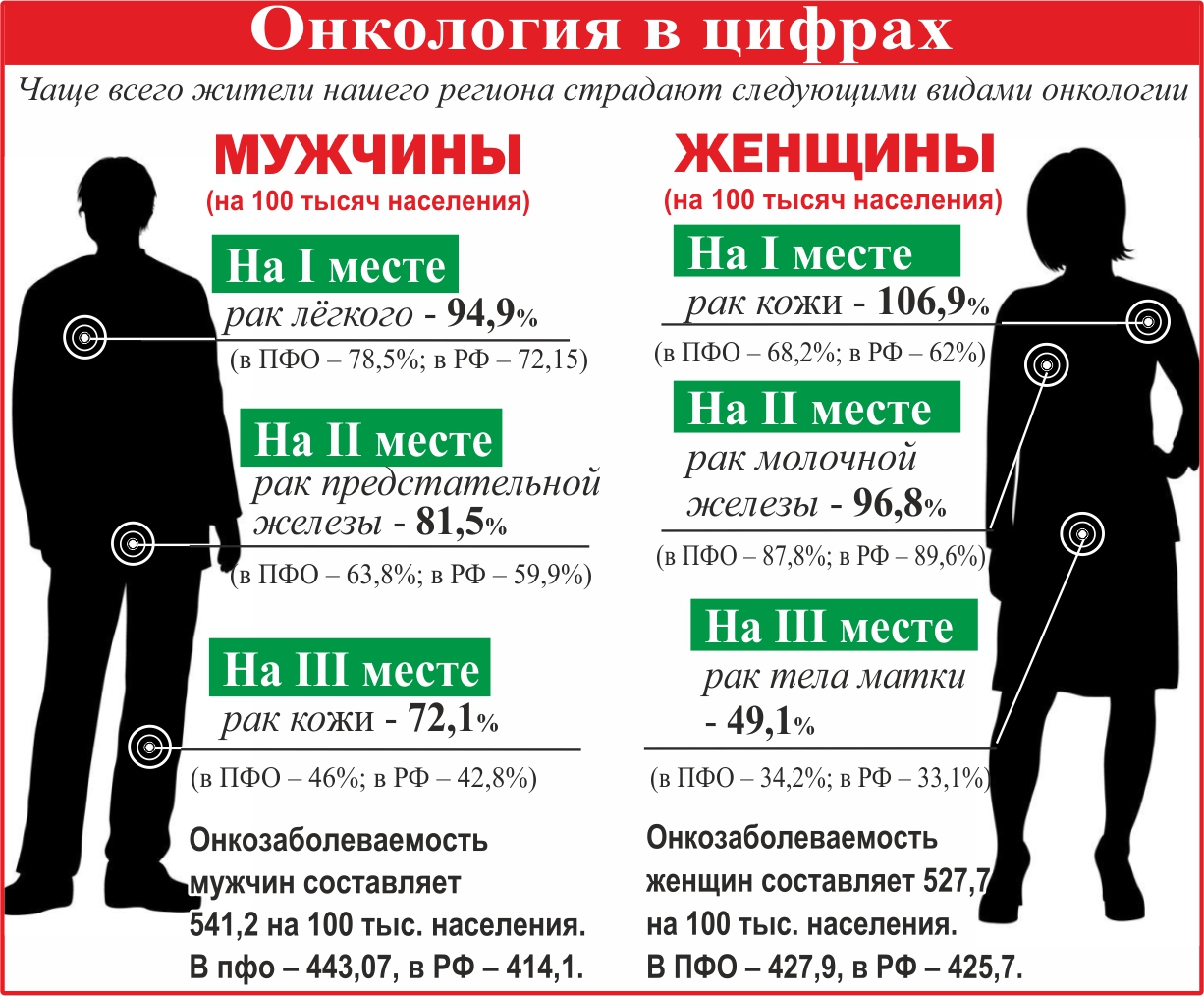 Широкопалый речной рак доклад