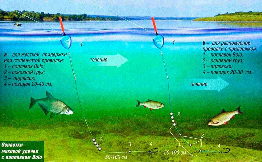 Особенности оснастки зимней поплавочной снасти – рыбалке.нет