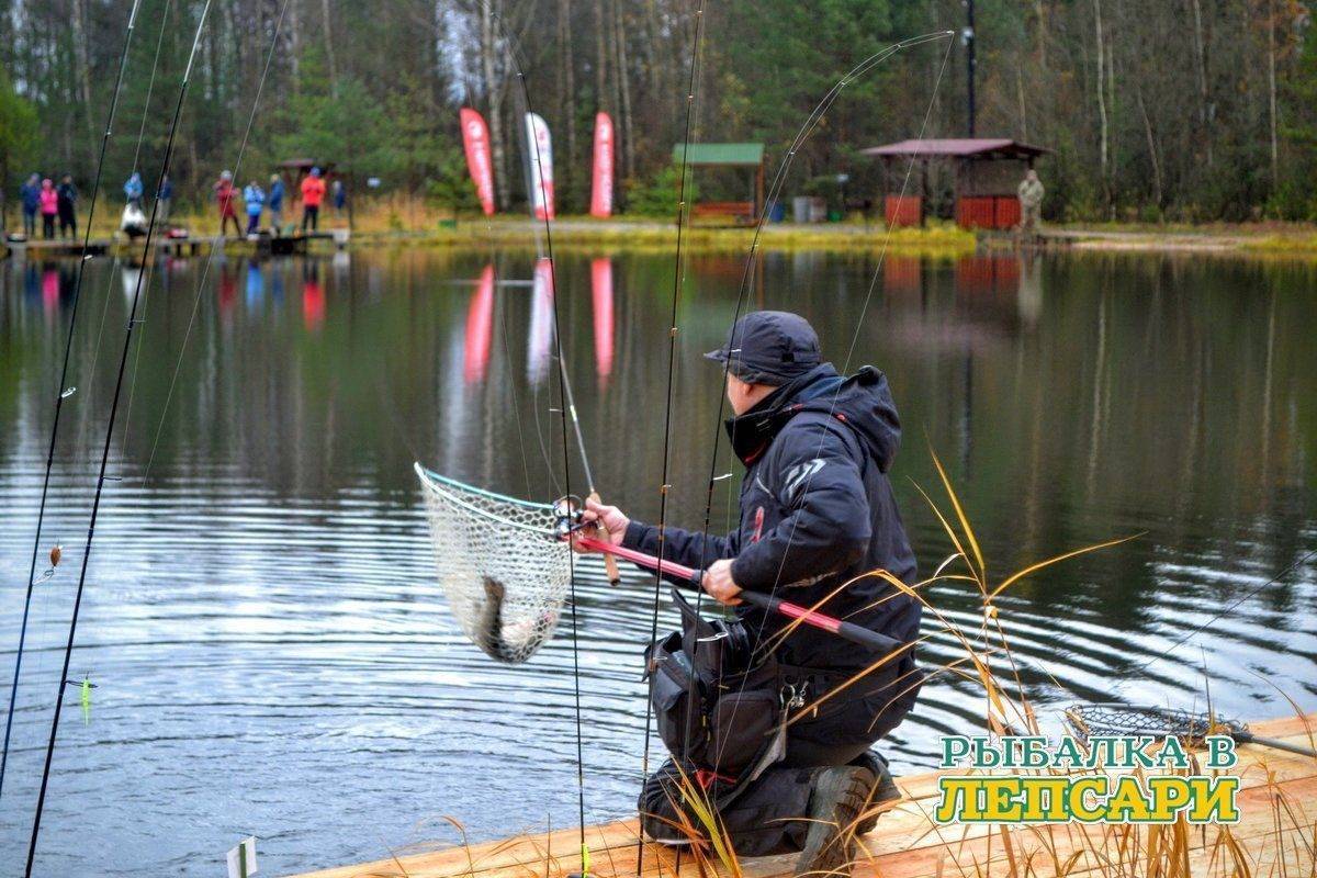 Рыбалка в ленинградской области: платная и бесплатная в 2021 году