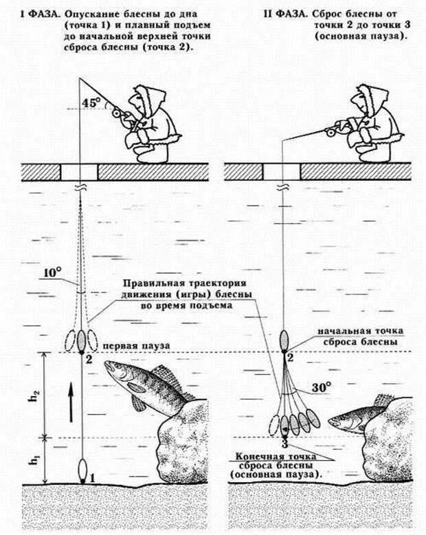 Как ловить щуку на блесну — техника ловли на колебалки и вращалки