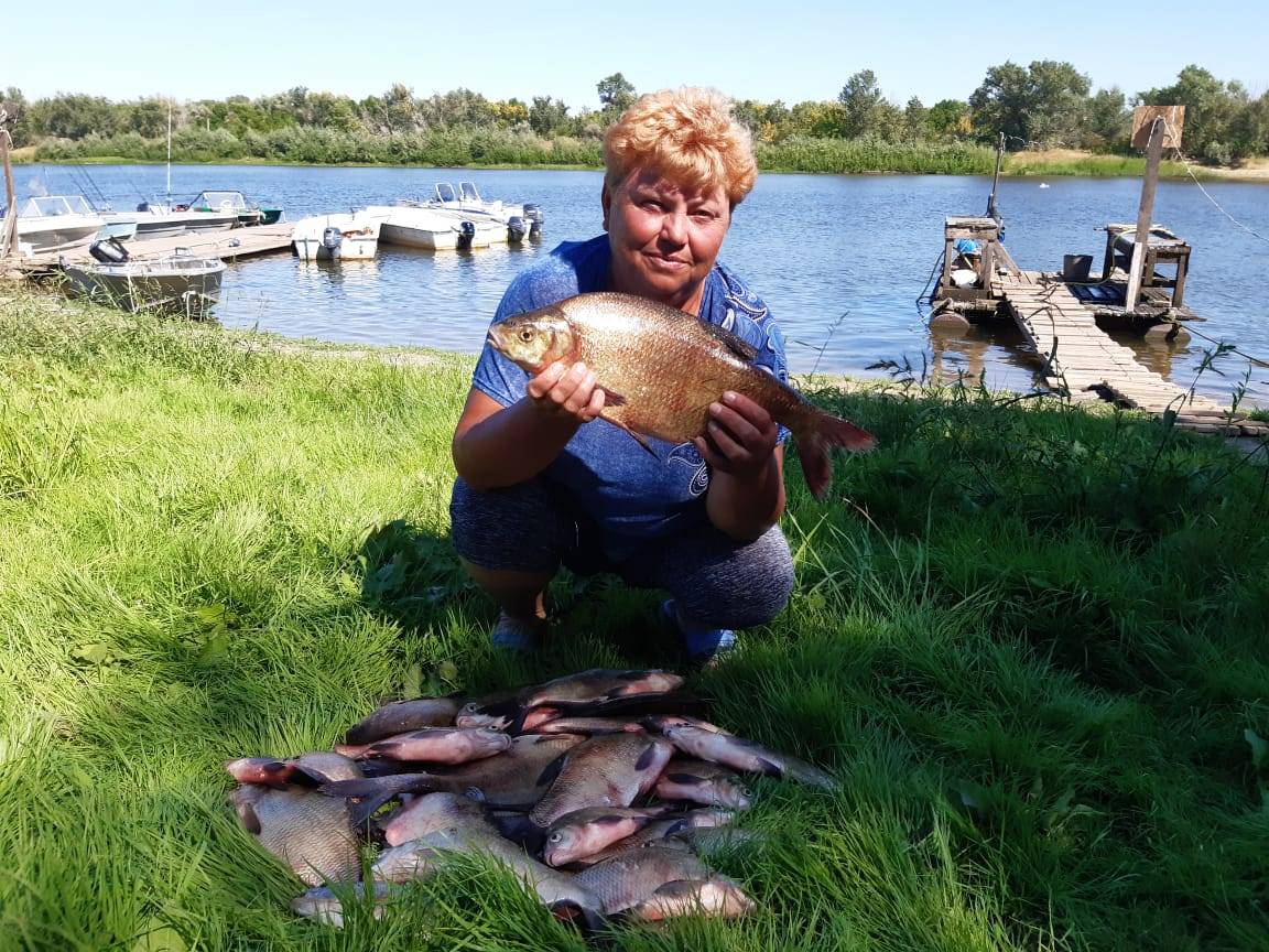 Рыбалка в белгороде и белгородской области, лучшие базы отдыха для ловли в белогорье