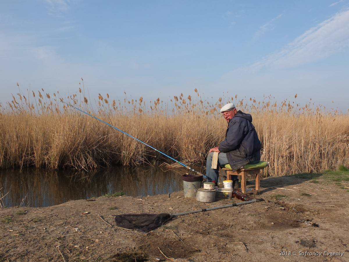 Рыбалка в калининградской области: платные и бесплатные места, прогноз клева