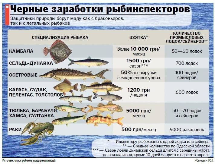 Новый закон о рыбалке в 2022 году в россии: правила и штрафы в любительском рыболовстве | юридические советы