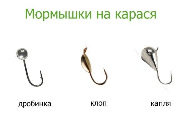 Как ловить карася зимой - особенности ловли и влияние погоды