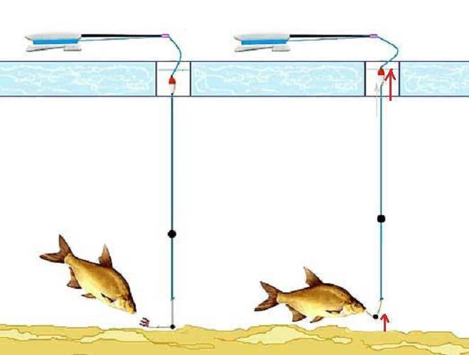 Особенности оснащения зимней поплавочной удочки - читайте на сatcher.fish