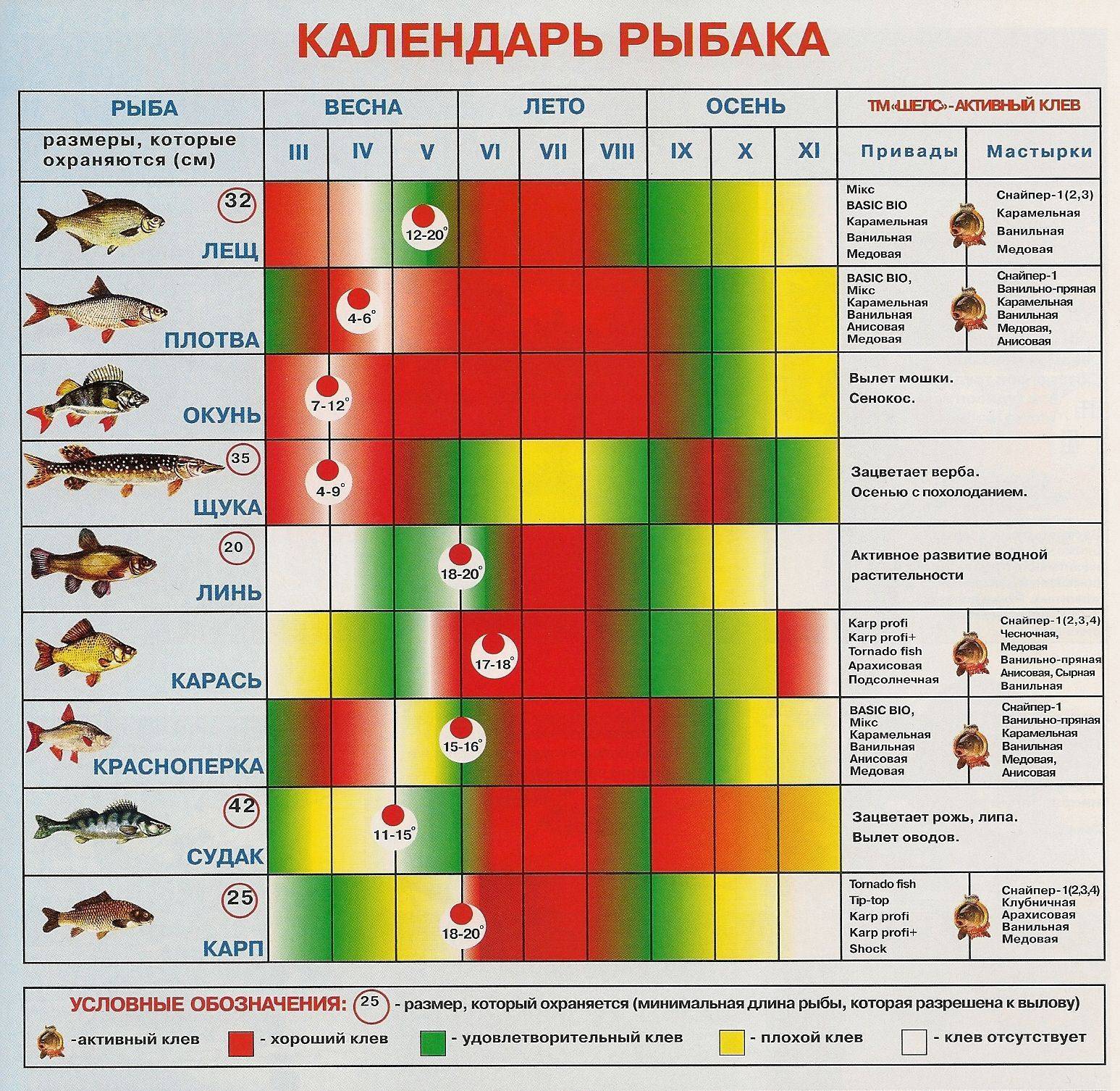 Как рыбачить (с иллюстрациями) - wikihow