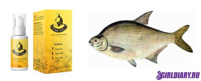 Приманка для рыб фиш хангри: инструкция и описание средства, отзывы рыбаков на активатор клёва