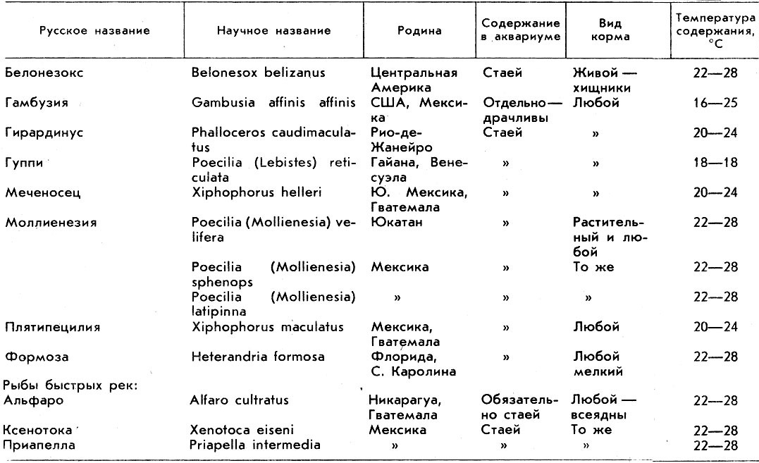 Температура воды в аквариуме для рыбок