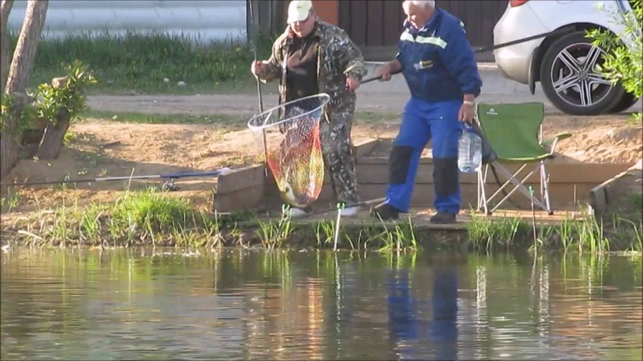 Коргашино платная рыбалка. Платная рыбалка в Пирогово. Рыбалка в Каргашино Пирогово. Рыбалка Пирогово Мытищи.