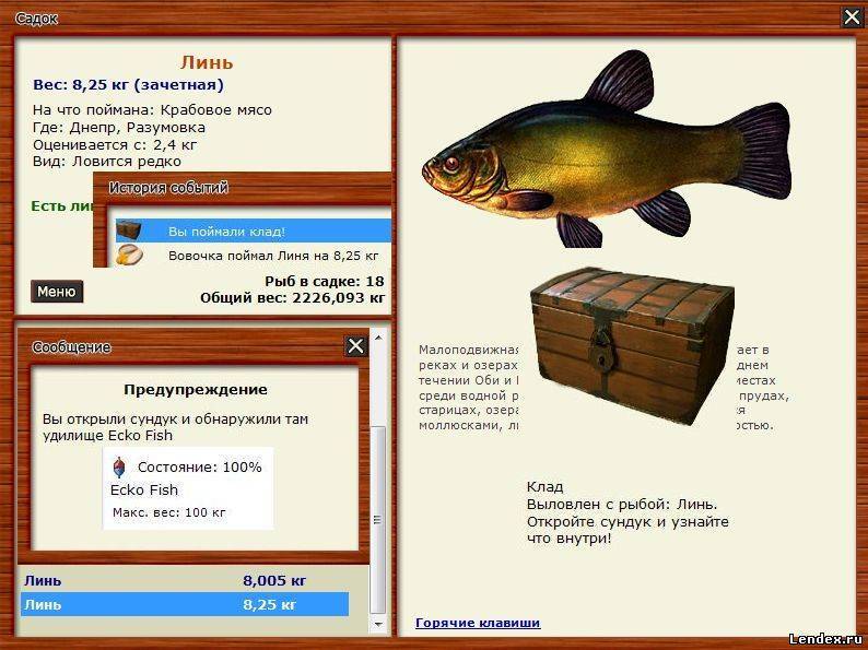Особенности ловли линя — где, как и на что ловить