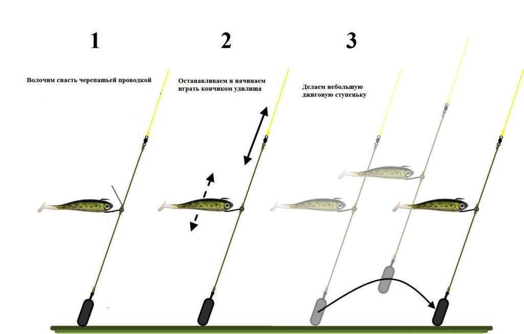 Рыбалка на спиннинг | спиннинг клаб - советы для начинающих рыбаков
дроп шот оснастка: монтаж и техника ловли