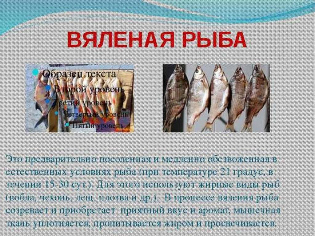 Сколько по времени солить рыбу. Вяленая рыба. Вяление рыбы. Требования к качеству сушеной рыбы. Презентация рыбной продукции.