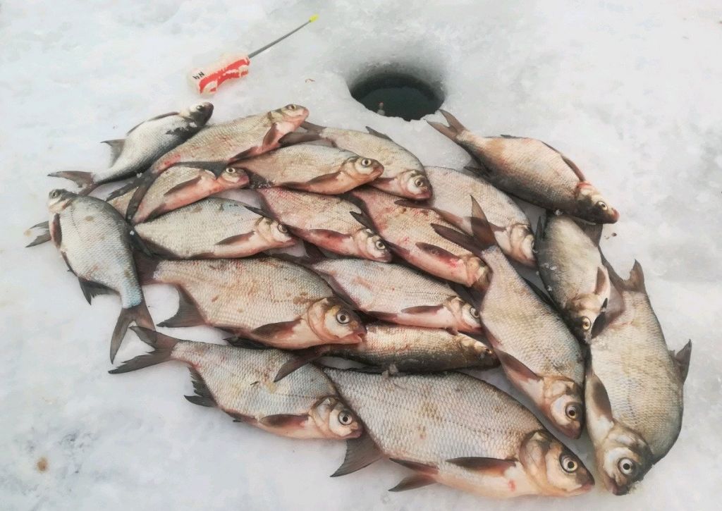 Рыбалка на можайском водохранилище