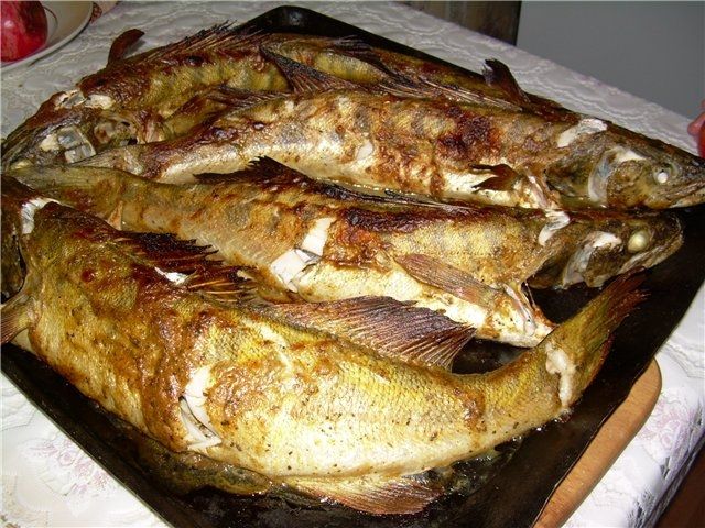 Как приготовить судака в духовке целиком и кусочками. рецепты вкусного судака в духовке пошагово с фото. как запечь фаршированного судака в духовке