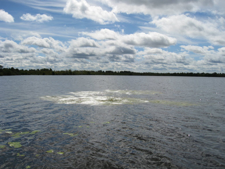 Озеро донузлав в крыму - описание и фото, отзывы поситителей