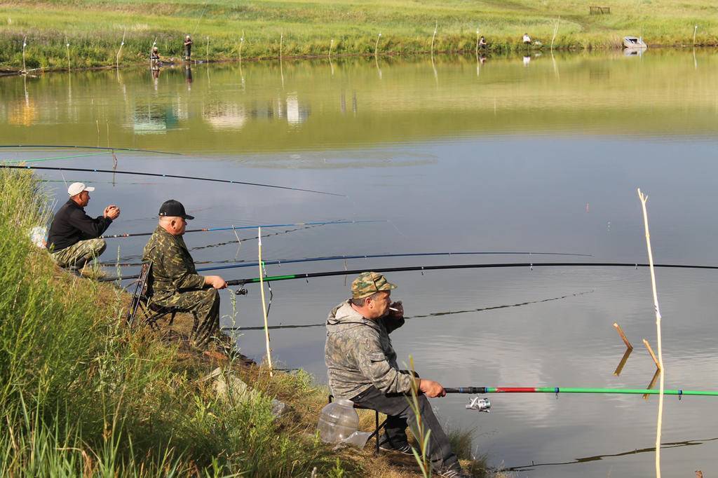 Места для рыбалки в кургане и курганской области - рыбные места на карте, где ловить рыбу