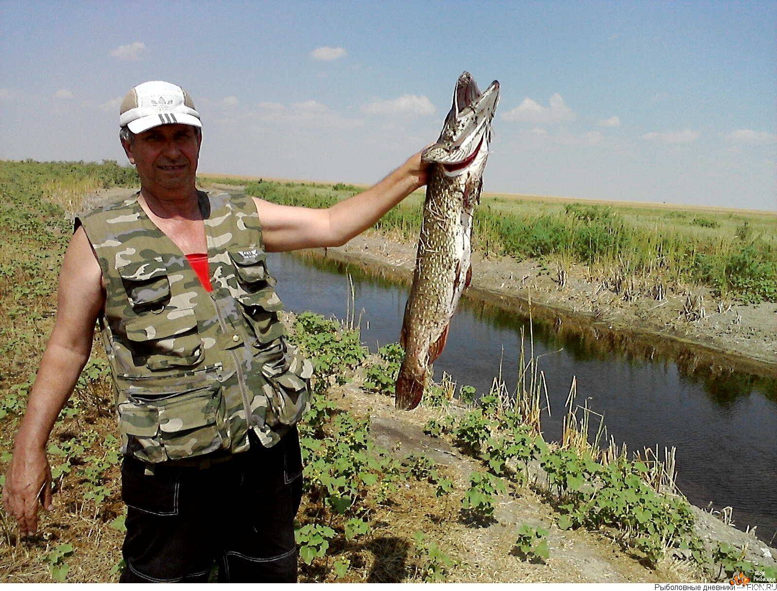 Рыбалка в калужской области платно