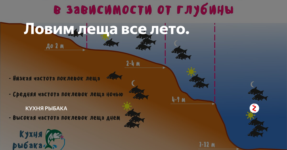 Рыбалка в харьковской области - водоемы, снасти, отчеты