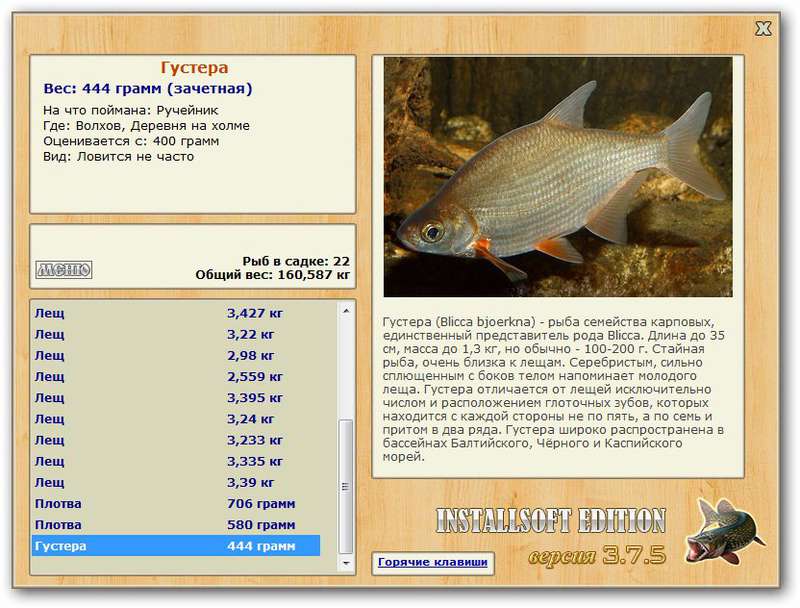Лещ - подробное описание рыбы: где обитает, чем питается
