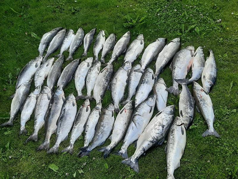 Рыбалка ульяновск - рыбалка в ульяновске