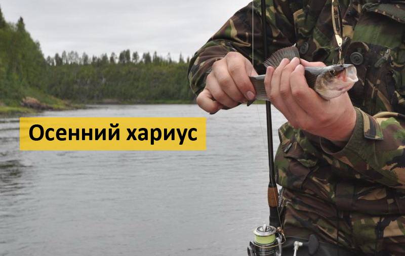 Ловля хариуса осенью: многообразие снастей и приманок